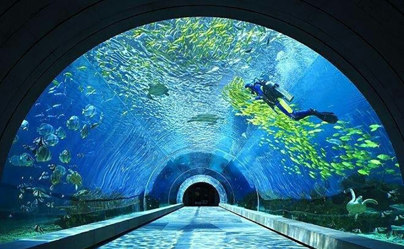 三亞潛水攻略，潛水內(nèi)幕（原文螞蜂窩）