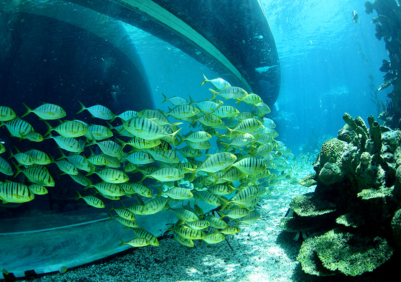 水中你必須注意的十個細節(jié)