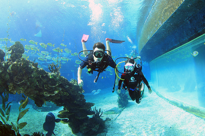 學潛水要注意什么