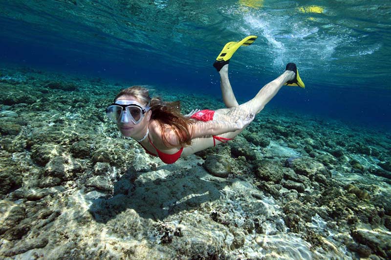 自由潛究竟危不危險？