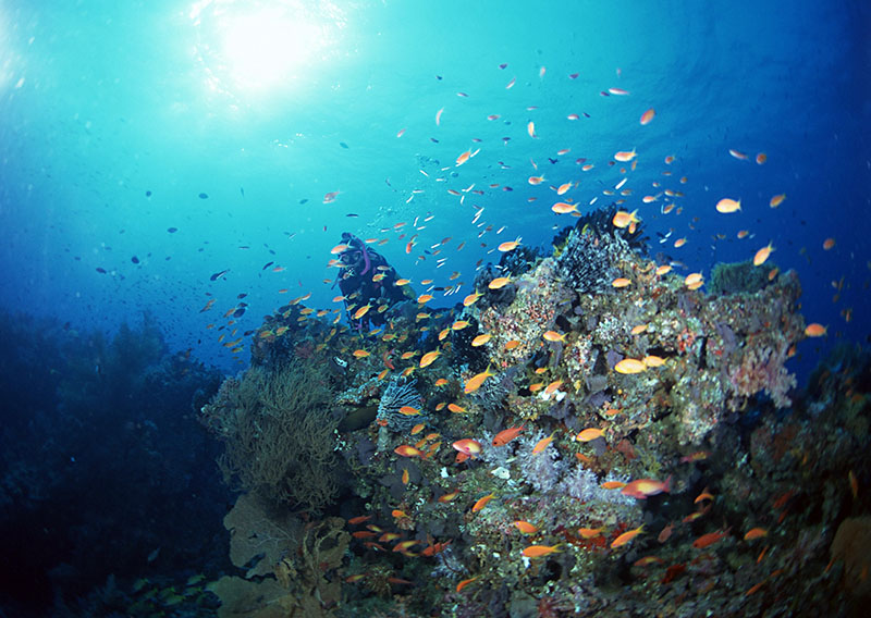 潛水有無身體條件和年齡限制？