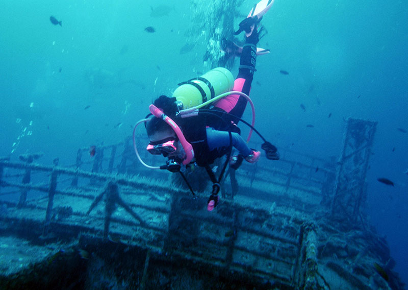 潛水初學者應該先學水肺還是自由潛