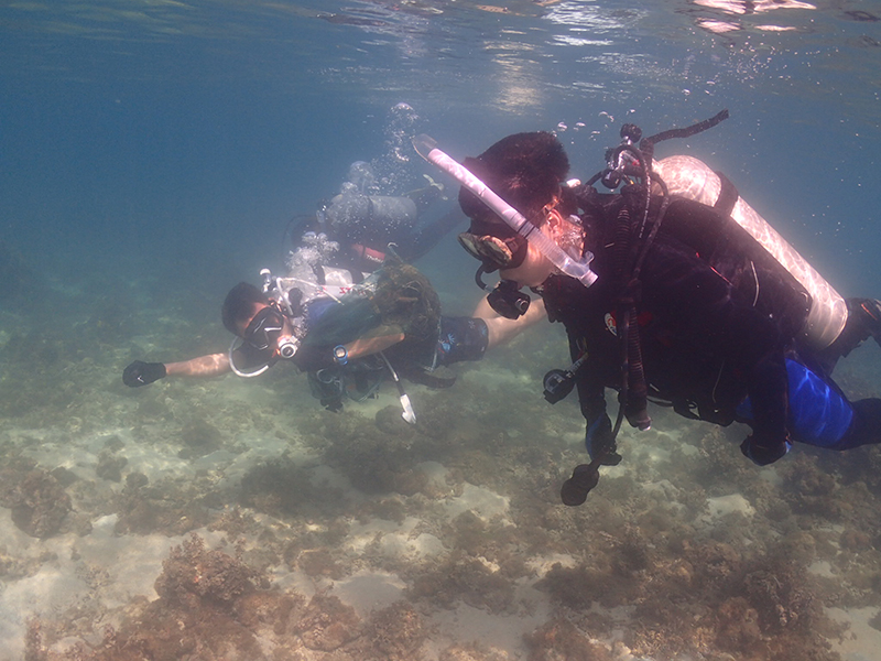 初學潛水易犯的錯誤