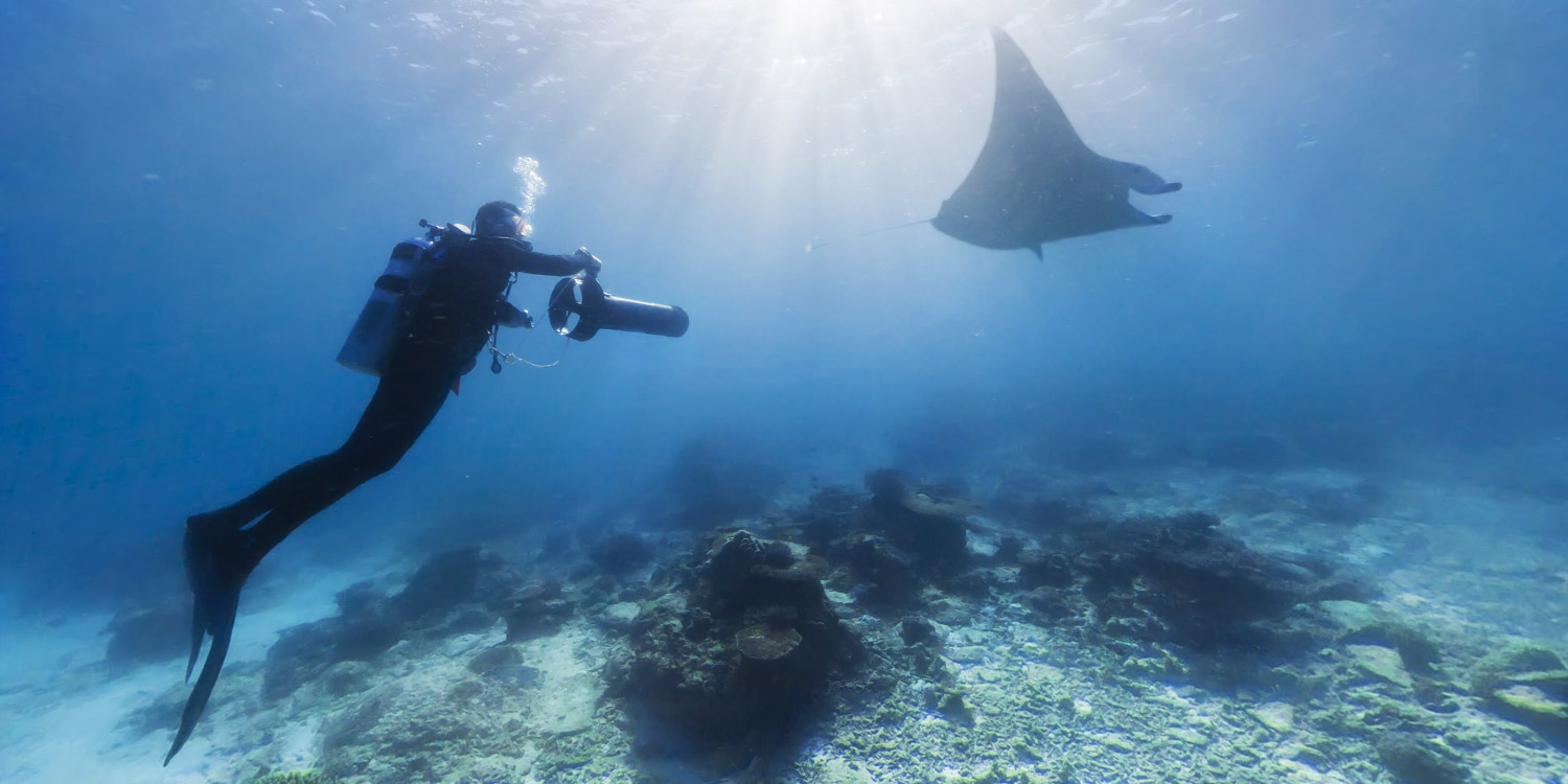 注意，這幾種情況下不能潛水