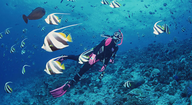 懷孕能潛水嗎？