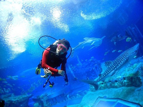 潛在水里，學(xué)做一條靜靜的魚