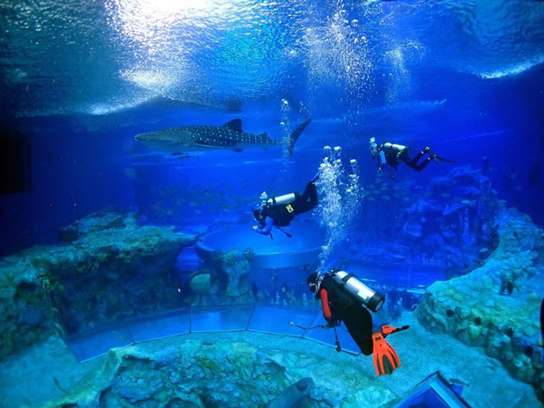 潛在水里，學(xué)做一條靜靜的魚