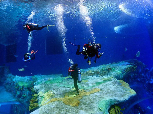 潛在水里，學(xué)做一條靜靜的魚