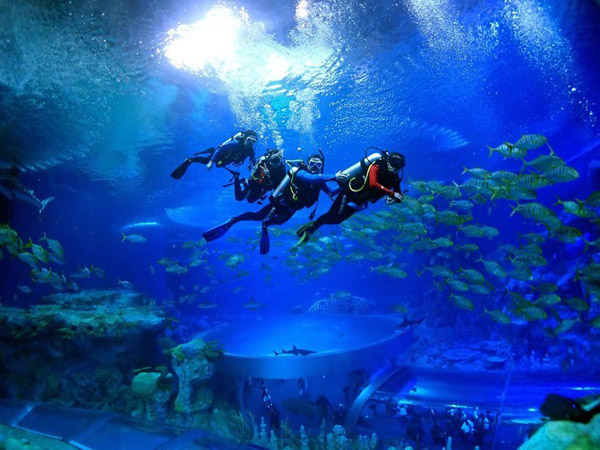 潛在水里，學(xué)做一條靜靜的魚