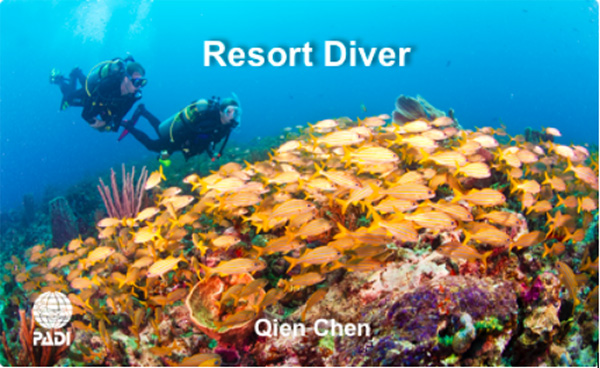 12/12正式上線！PADI 最新課程【休閑潛水員Resort Diver】 丨 一天拿證，潛遍全球