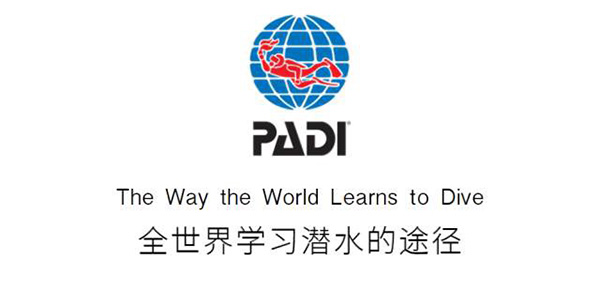 12/12正式上線！PADI 最新課程【休閑潛水員Resort Diver】 丨 一天拿證，潛遍全球