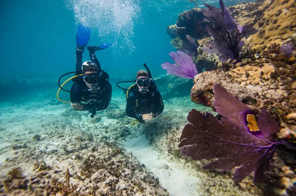 【水肺潛水安全嗎？】轉(zhuǎn)自PADI