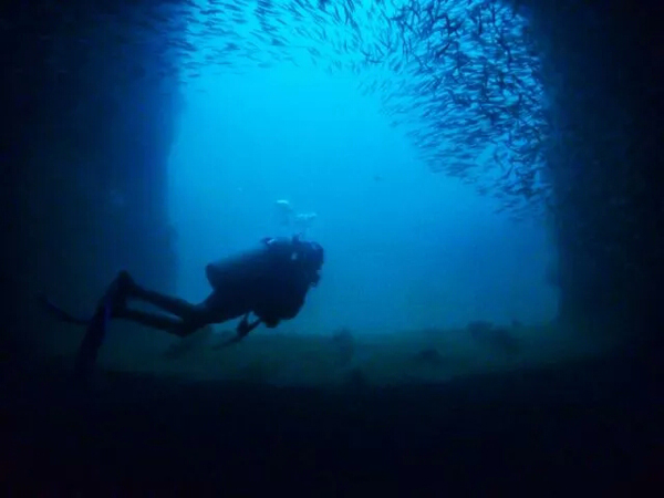 潛水拍照新姿勢，放下你的剪刀手，我們來這樣拍