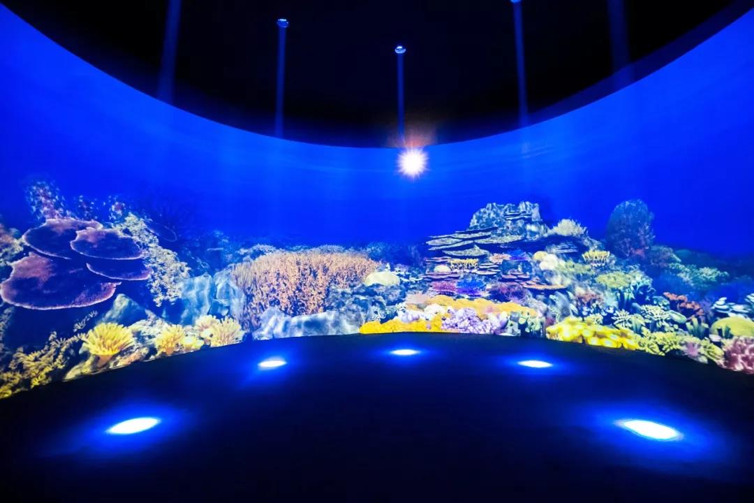 即將有一場(chǎng)海洋沉浸式體驗(yàn)互動(dòng)展在上海舉辦