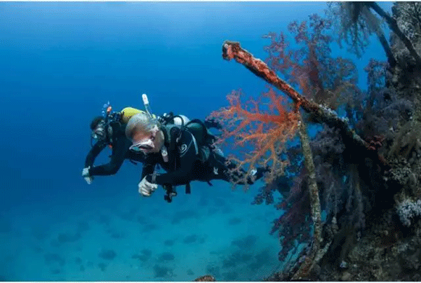 成為潛水員之前的你，是不是也問(wèn)過(guò)這些問(wèn)題？