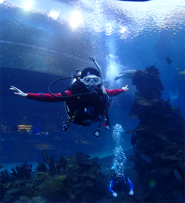 潛水常見問題，原來潛水沒你想的那么難