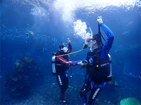 潛水常見問題，原來潛水沒你想的那么難