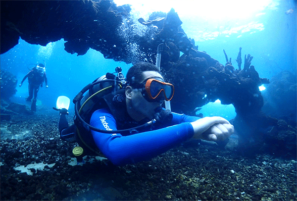 潛水常見問題，原來潛水沒你想的那么難