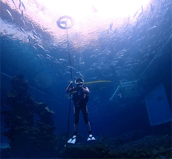 潛水常見問題，原來潛水沒你想的那么難