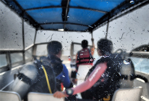 潛水常見問題，原來潛水沒你想的那么難