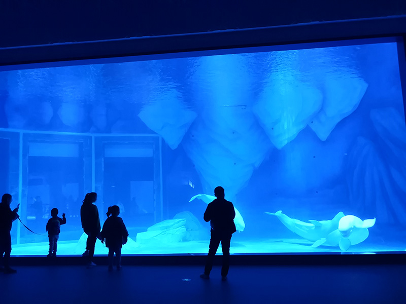 上海海昌極地海洋世界寶華壓縮機投入使用