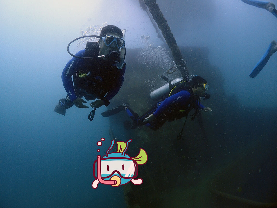 除了俯瞰大地的飛翔，還有潛入海底的翱翔。