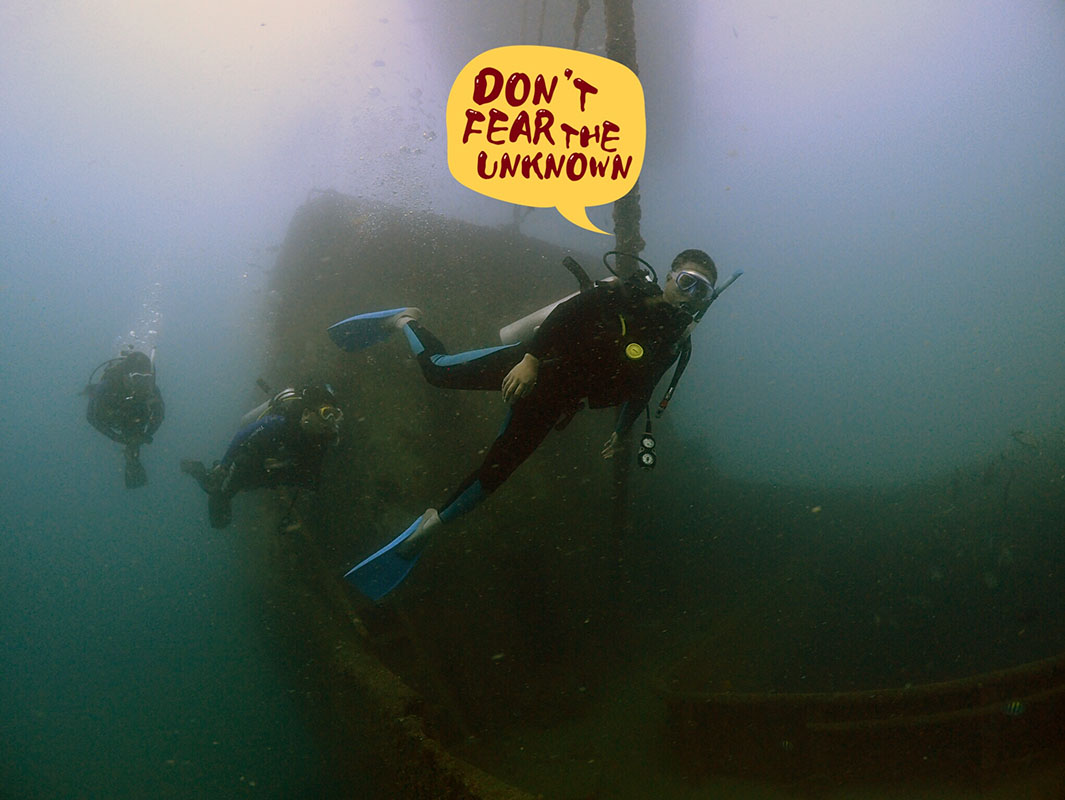除了俯瞰大地的飛翔，還有潛入海底的翱翔。