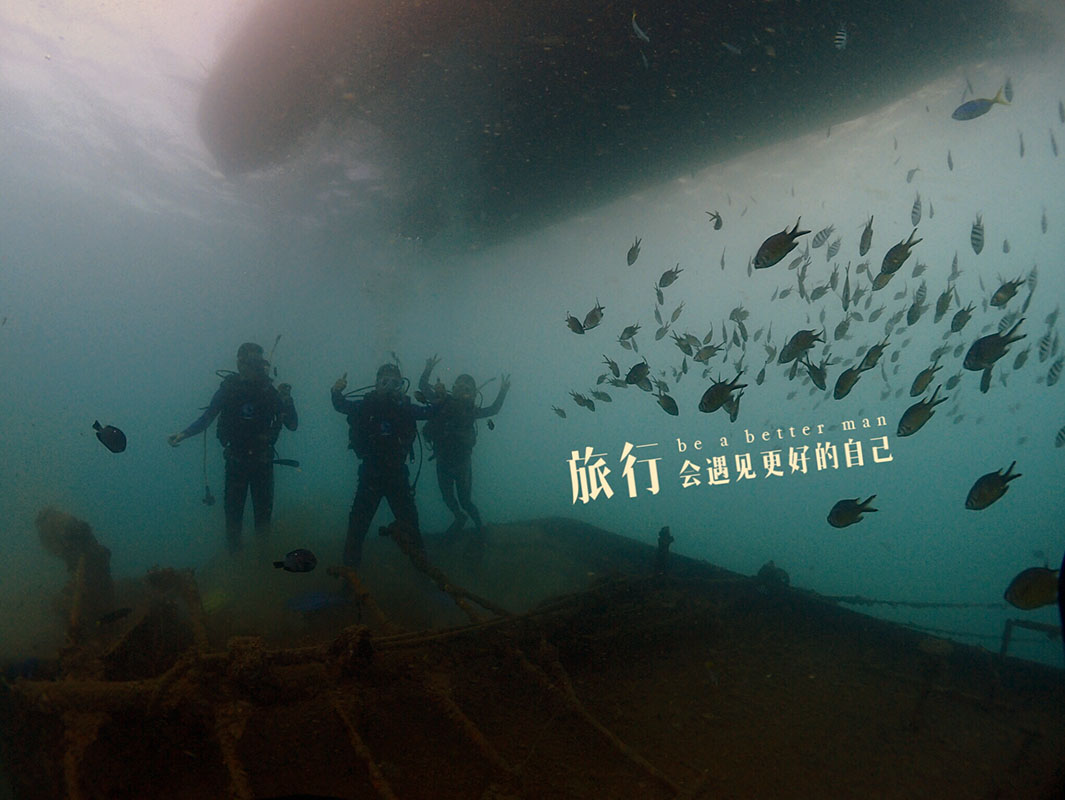 除了俯瞰大地的飛翔，還有潛入海底的翱翔。