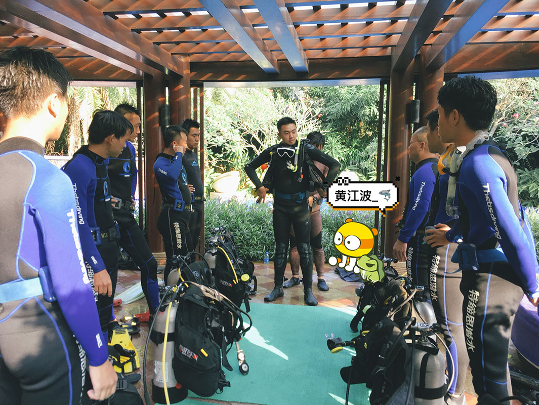 除了俯瞰大地的飛翔，還有潛入海底的翱翔。