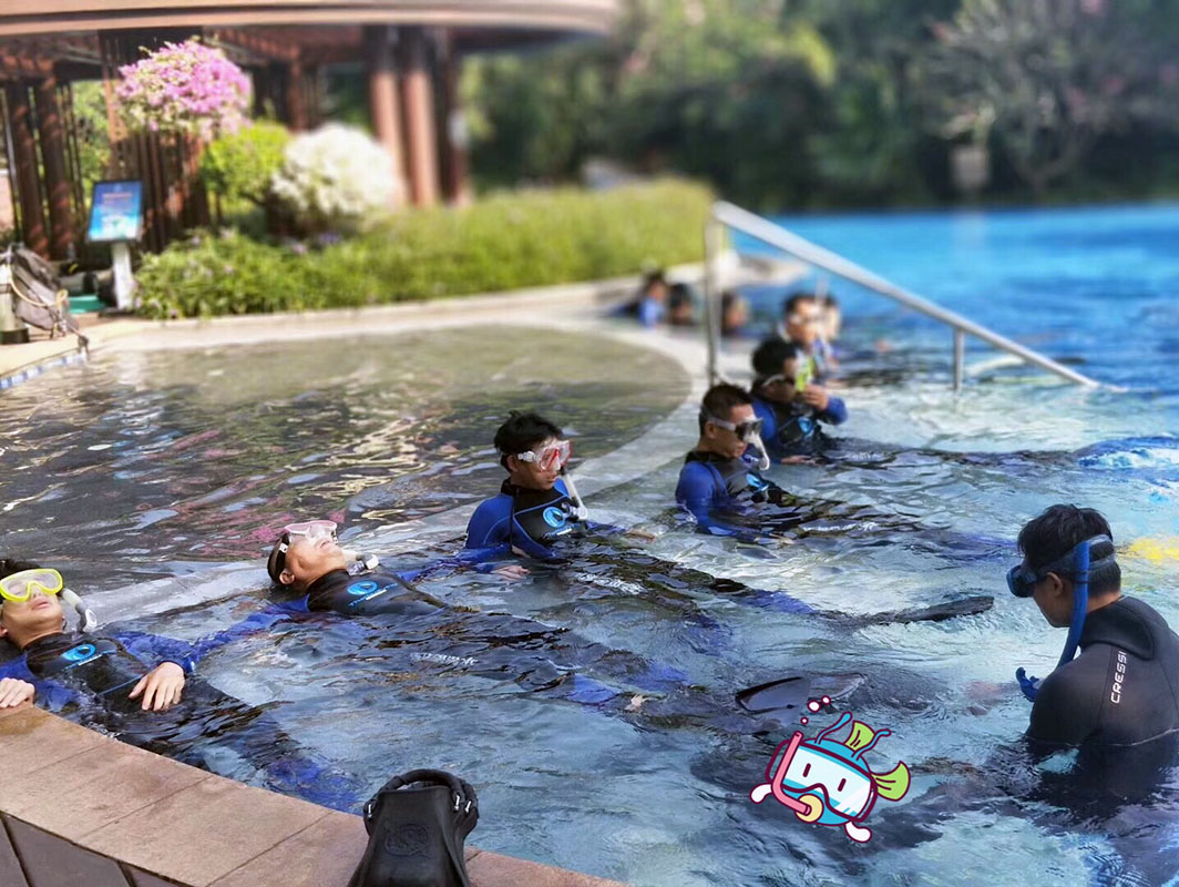 除了俯瞰大地的飛翔，還有潛入海底的翱翔。