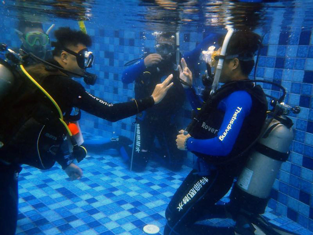 除了俯瞰大地的飛翔，還有潛入海底的翱翔。