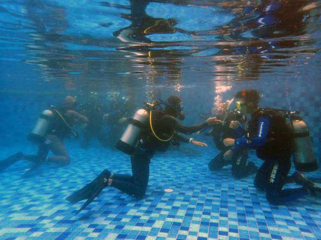 除了俯瞰大地的飛翔，還有潛入海底的翱翔。