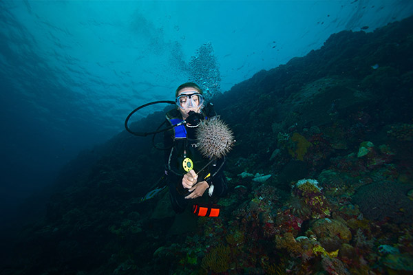 什么是耳壓平衡？